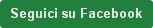 Seguici su Facebook
